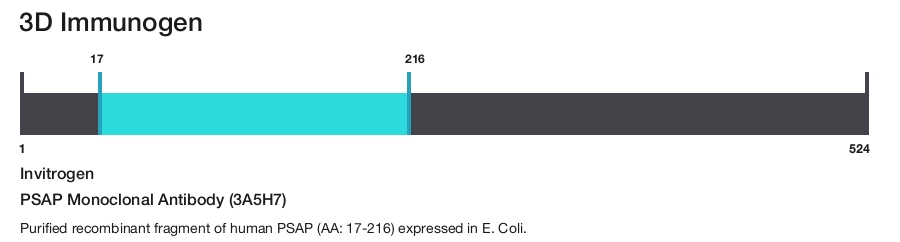 PSAP Monoclonal Antibody (3A5H7)