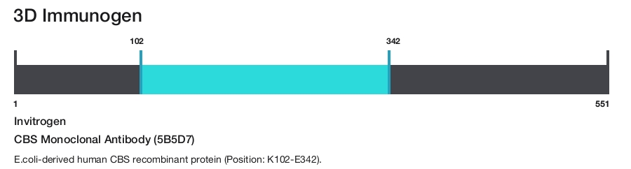 CBS Monoclonal Antibody (5B5D7)