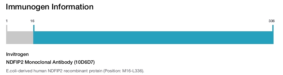 NDFIP2 Monoclonal Antibody (10D6D7)