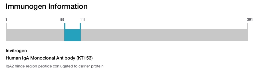 Human IgA Monoclonal Antibody (KT153)