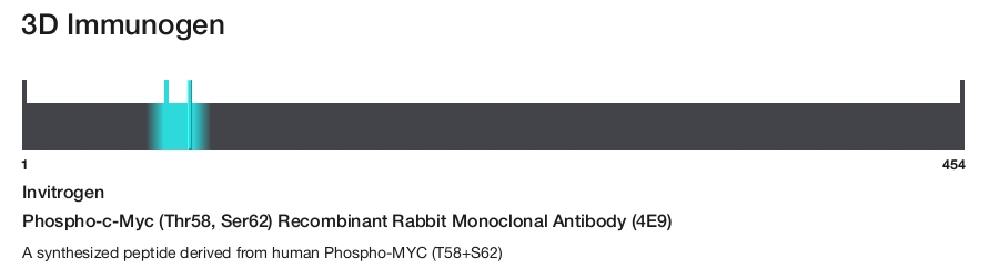 Phospho-c-Myc (Thr58, Ser62) Recombinant Rabbit Monoclonal Antibody (4E9)