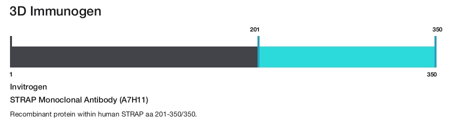 STRAP Monoclonal Antibody (A7H11)