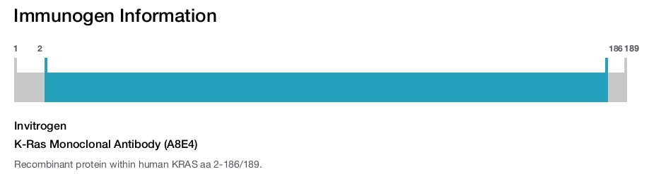 K-Ras Monoclonal Antibody (A8E4)