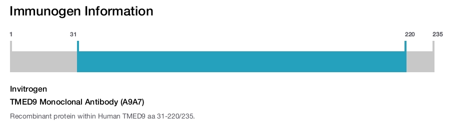 TMED9 Monoclonal Antibody (A9A7)