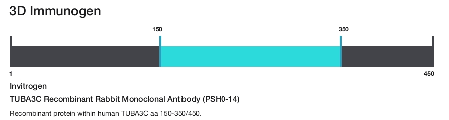 TUBA3C Recombinant Rabbit Monoclonal Antibody (PSH0-14)