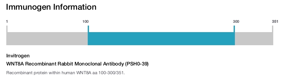 WNT8A Recombinant Rabbit Monoclonal Antibody (PSH0-39)