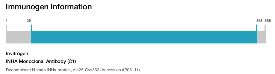 INHA Monoclonal Antibody (C1)
