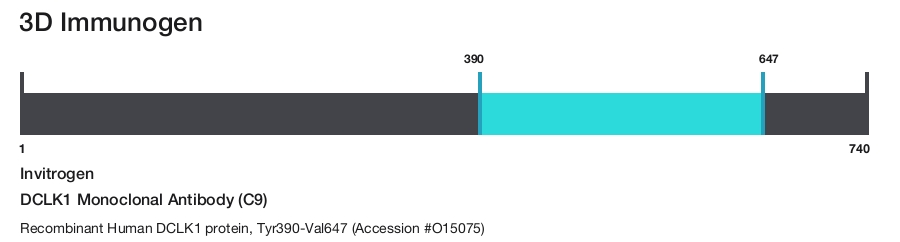DCLK1 Monoclonal Antibody (C9)