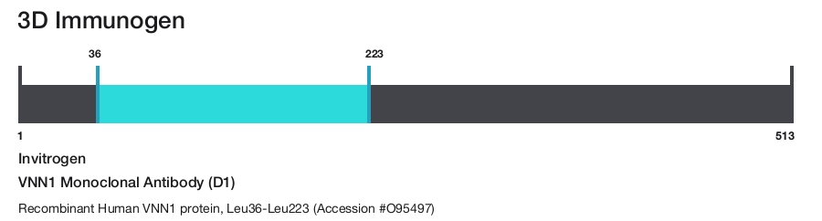 VNN1 Monoclonal Antibody (D1)