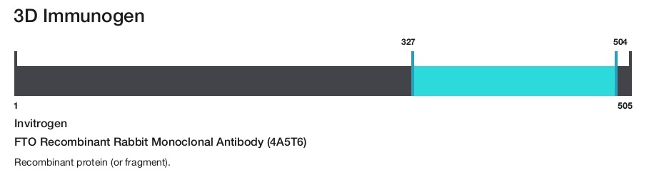 FTO Recombinant Rabbit Monoclonal Antibody (4A5T6)