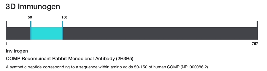 COMP Recombinant Rabbit Monoclonal Antibody (2H3R5)