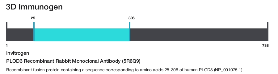 PLOD3 Recombinant Rabbit Monoclonal Antibody (5R6Q9)