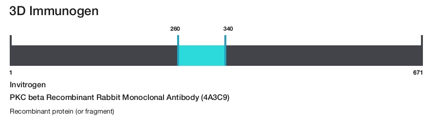 PKC beta Recombinant Rabbit Monoclonal Antibody (4A3C9)