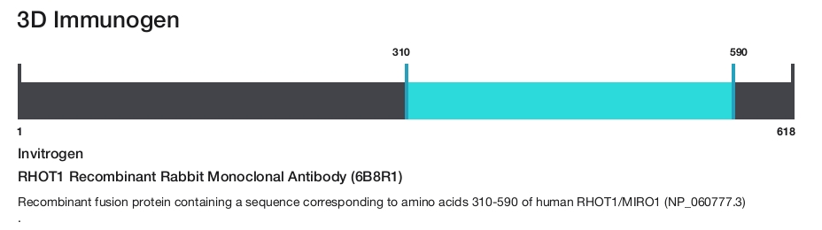 RHOT1 Recombinant Rabbit Monoclonal Antibody (6B8R1)