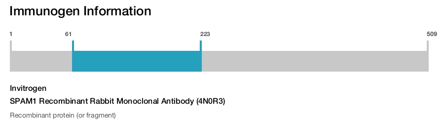 SPAM1 Recombinant Monoclonal Antibody (4N0R3) (MA5-51314)