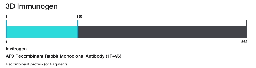 AF9 Recombinant Rabbit Monoclonal Antibody (1T4V6)