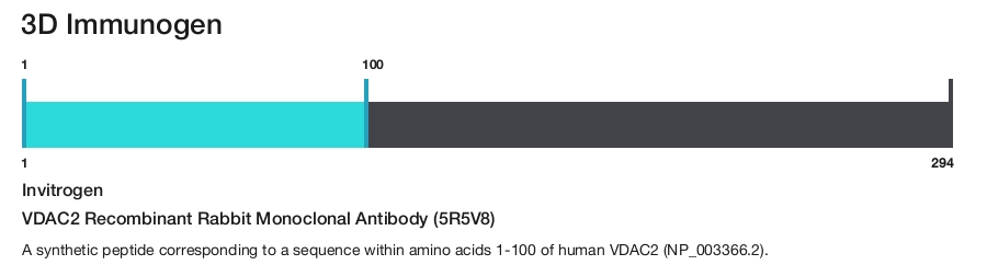 VDAC2 Recombinant Rabbit Monoclonal Antibody (5R5V8)