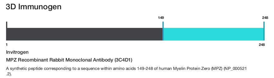 MPZ Recombinant Rabbit Monoclonal Antibody (3C4D1)