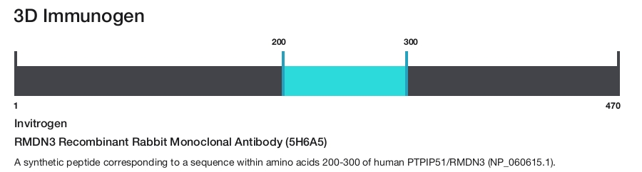 RMDN3 Recombinant Rabbit Monoclonal Antibody (5H6A5)