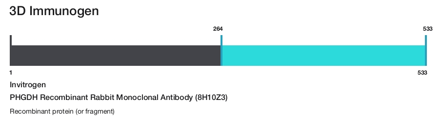 PHGDH Recombinant Rabbit Monoclonal Antibody (8H10Z3)