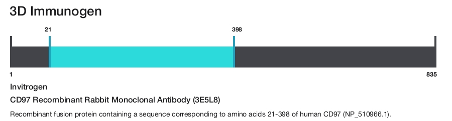 CD97 Recombinant Rabbit Monoclonal Antibody (3E5L8)