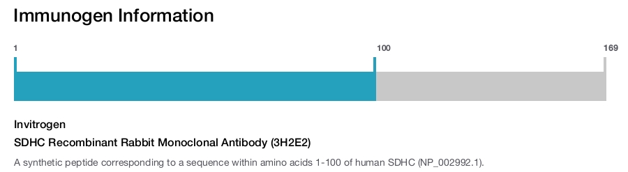 SDHC Recombinant Rabbit Monoclonal Antibody (3H2E2)