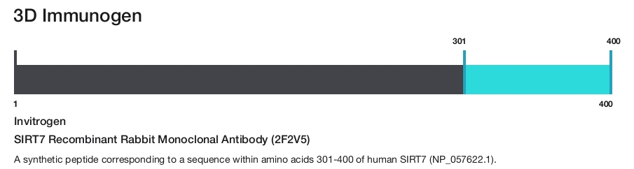 SIRT7 Recombinant Rabbit Monoclonal Antibody (2F2V5)