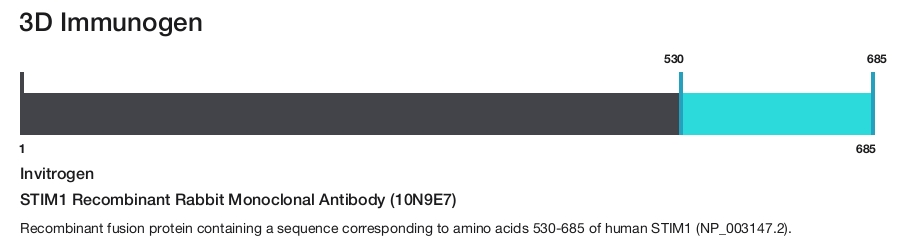 STIM1 Recombinant Rabbit Monoclonal Antibody (10N9E7)
