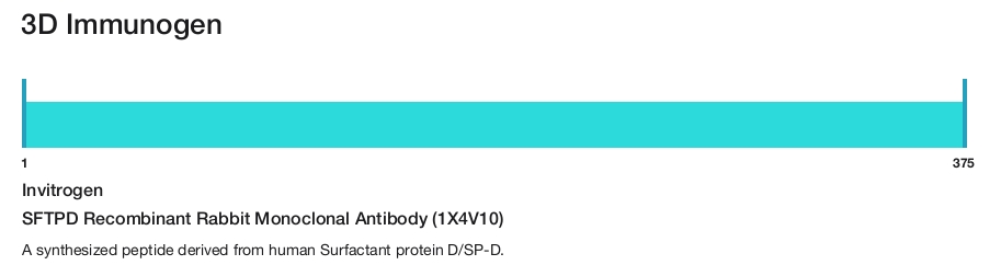 SFTPD Recombinant Rabbit Monoclonal Antibody (1X4V10)