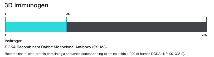 DGKA Recombinant Rabbit Monoclonal Antibody (9X1M3)