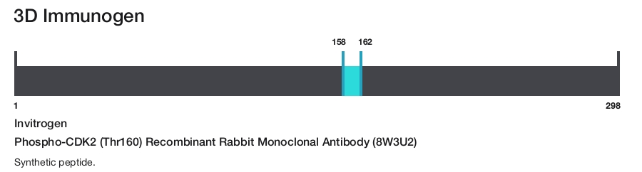 Phospho-CDK2 (Thr160) Recombinant Rabbit Monoclonal Antibody (8W3U2)