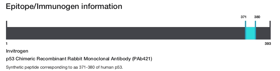 p53 Chimeric Recombinant Rabbit Monoclonal Antibody (PAb421)