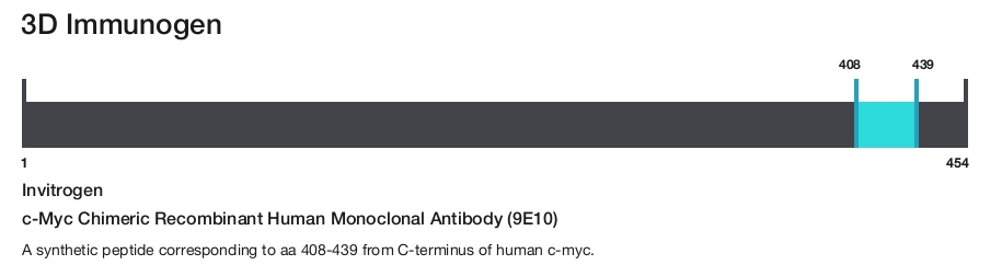 c-Myc Chimeric Recombinant Human Monoclonal Antibody (9E10)