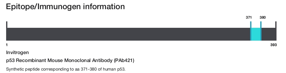 p53 Recombinant Mouse Monoclonal Antibody (PAb421)