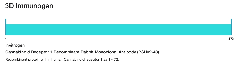 Cannabinoid Receptor 1 Recombinant Rabbit Monoclonal Antibody (PSH02-43)