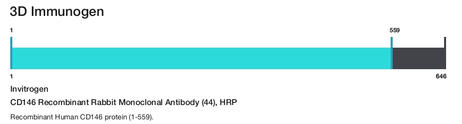 CD146 Recombinant Rabbit Monoclonal Antibody (44), HRP
