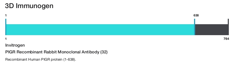 PIGR Recombinant Rabbit Monoclonal Antibody (32)