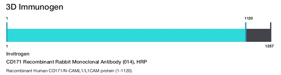 CD171 Recombinant Rabbit Monoclonal Antibody (014), HRP