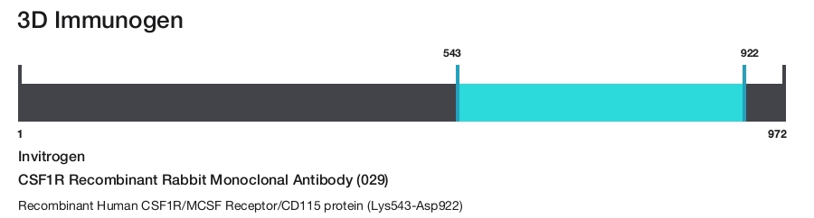 CSF1R Recombinant Rabbit Monoclonal Antibody (029)