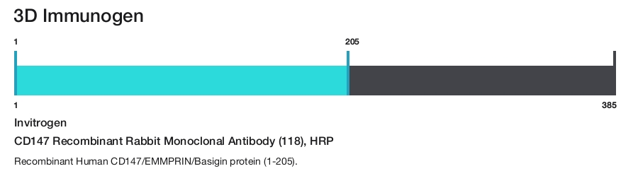 CD147 Recombinant Rabbit Monoclonal Antibody (118), HRP