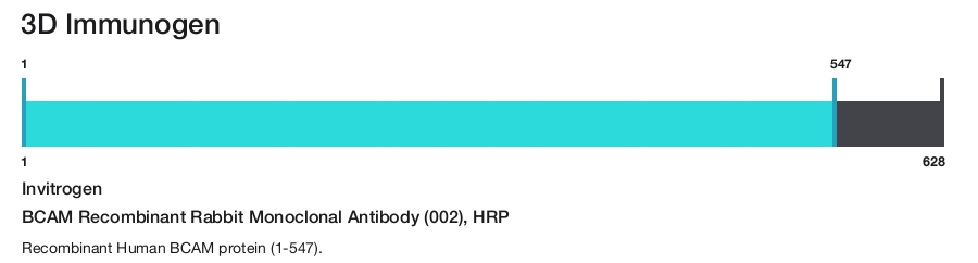 BCAM Recombinant Rabbit Monoclonal Antibody (002), HRP