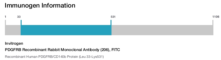 PDGFRB Recombinant Rabbit Monoclonal Antibody (206), FITC