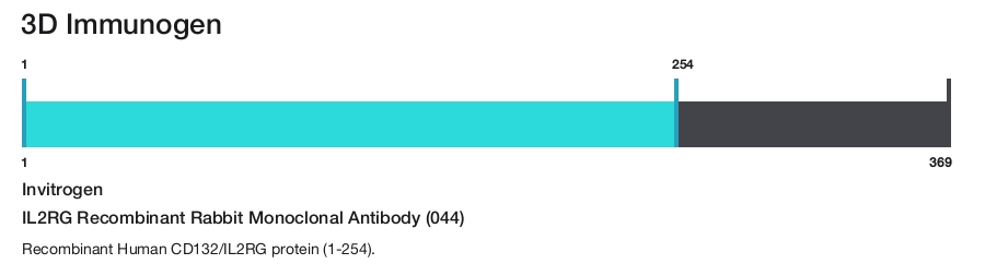 IL2RG Recombinant Rabbit Monoclonal Antibody (044)