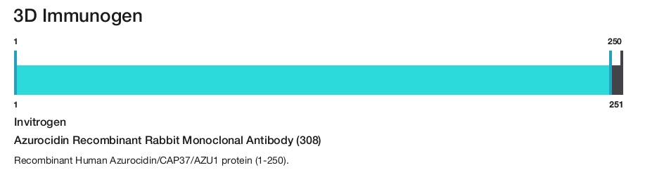 Azurocidin Recombinant Rabbit Monoclonal Antibody (308)