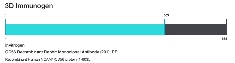 CD56 Recombinant Rabbit Monoclonal Antibody (201), PE