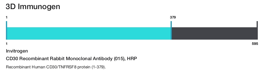 CD30 Recombinant Rabbit Monoclonal Antibody (015), HRP