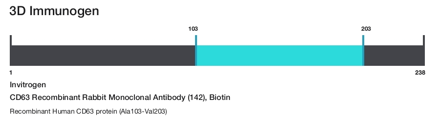 CD63 Recombinant Rabbit Monoclonal Antibody (142), Biotin