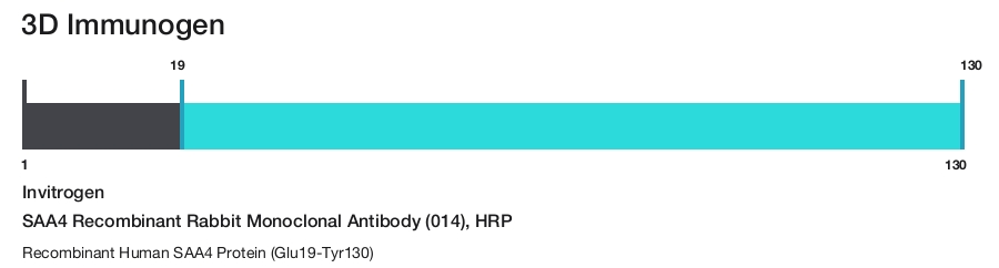 SAA4 Recombinant Rabbit Monoclonal Antibody (014), HRP