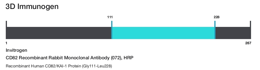 CD82 Recombinant Rabbit Monoclonal Antibody (072), HRP