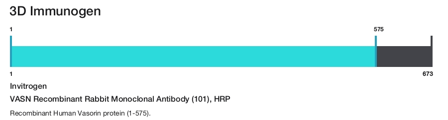 VASN Recombinant Rabbit Monoclonal Antibody (101), HRP
